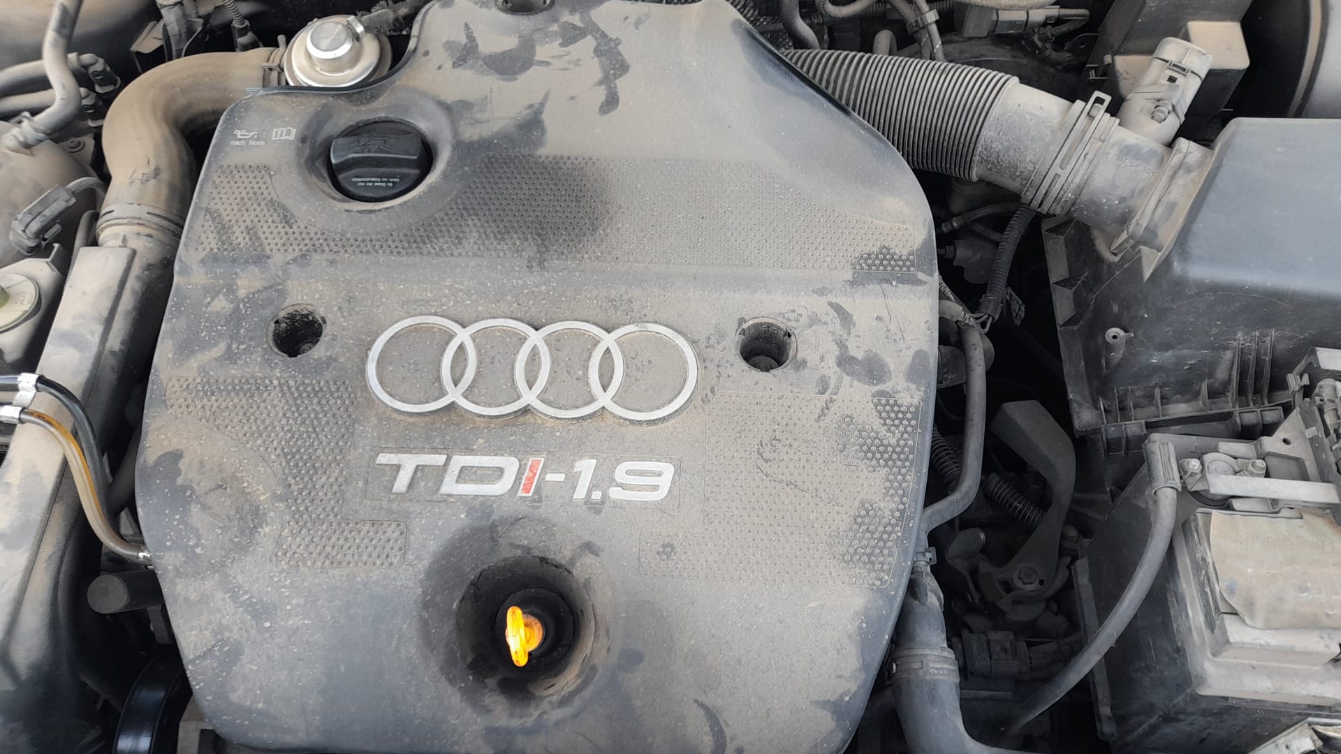 AUDI A3 8L (1996-2003) Дверь передняя левая 8L3831051C 21646673