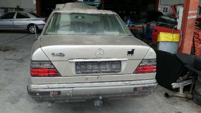 MERCEDES-BENZ E-Class W124 (1984-1997) Ekspansionsbeholder 1245002049 23540089