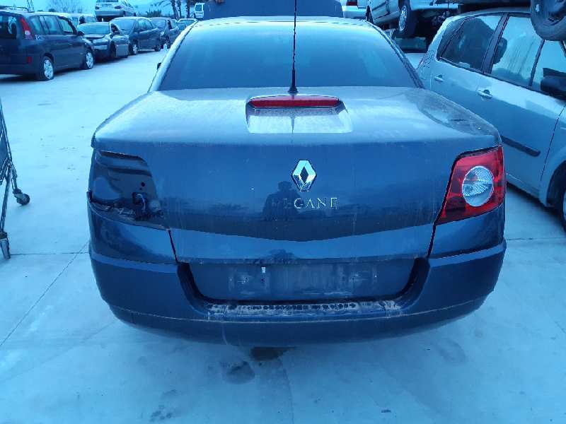 AUDI Megane 2 generation (2002-2012) Front Right Door 7751474926 22008427