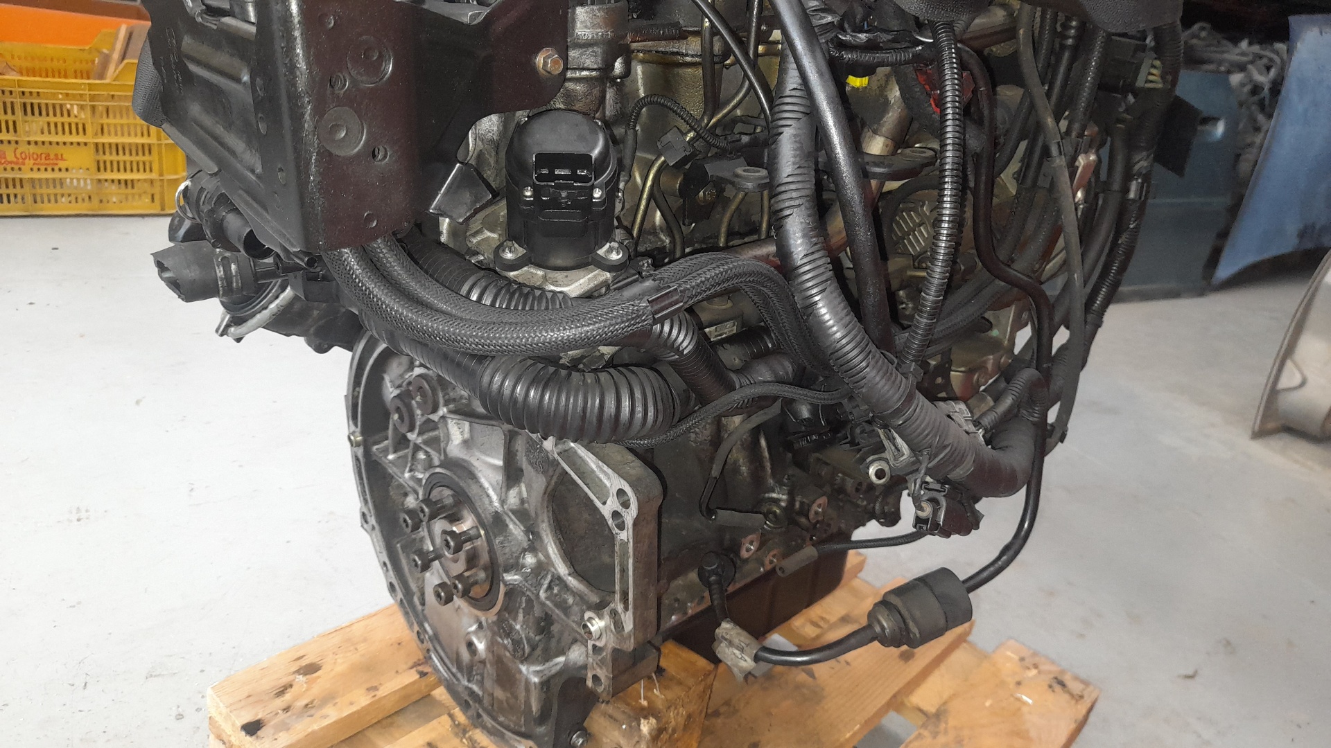 VAUXHALL C-Max 1 generation (2003-2010) Engine G8DA 22017846