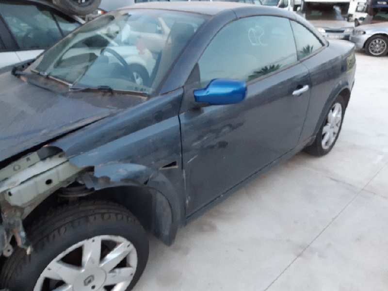 AUDI Megane 2 generation (2002-2012) Priekinės dešinės durys 7751474926 22008427