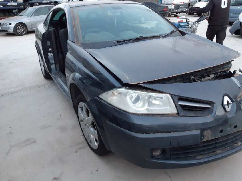 AUDI Megane 2 generation (2002-2012) Priekinės dešinės durys 7751474926 22008427