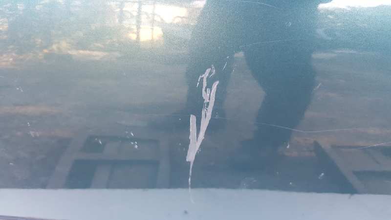 NISSAN Almera N16 (2000-2006) Rear Left Door AZUL 25251408