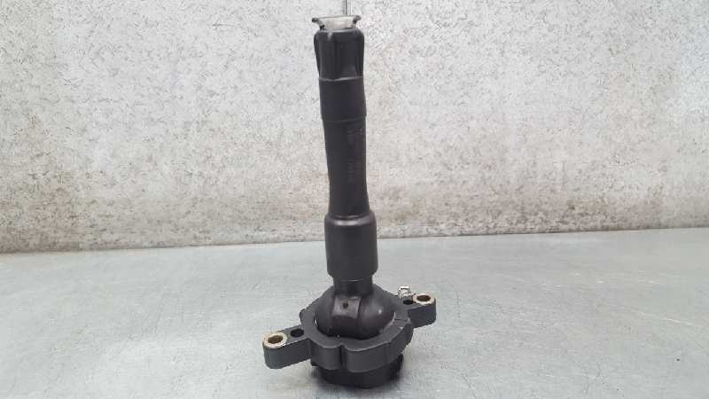 FORD 5 Series E39 (1995-2004) High Voltage Ignition Coil 1748017 24064410
