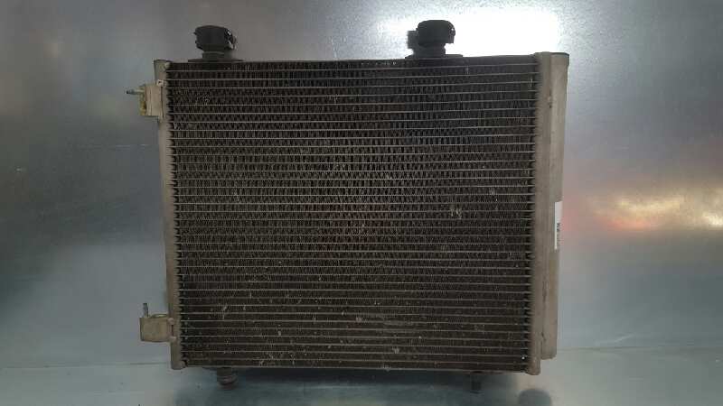 CITROËN C3 1 generation (2002-2010) Охлаждающий радиатор 9635759480 25404576
