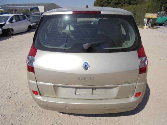 RENAULT Scenic 2 generation (2003-2010) Galinės kairės durys 18485621