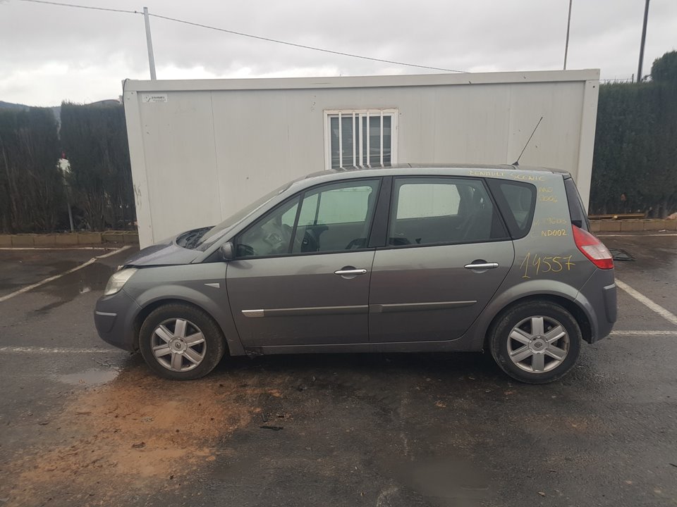 RENAULT Scenic 2 generation (2003-2010) Другие кузовные детали 8200159645 22978877