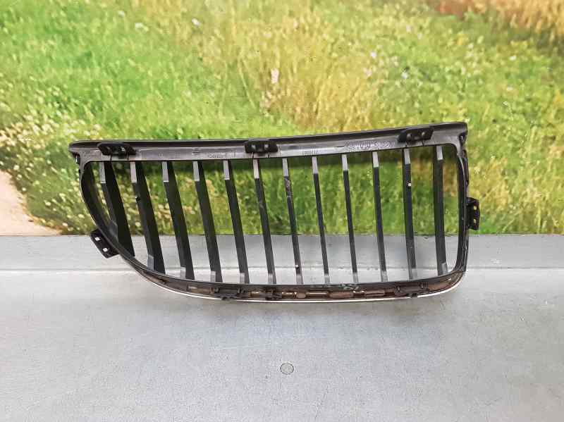 BMW 3 Series E90/E91/E92/E93 (2004-2013) Radiator Grille LADOIZQUIERDO 18639248