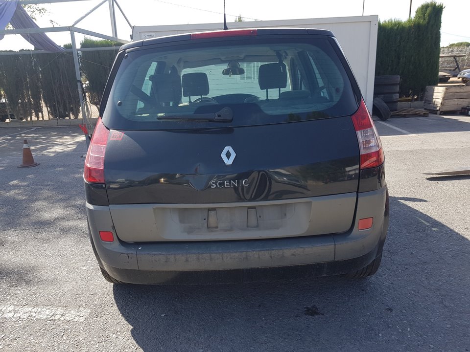 RENAULT Scenic 2 generation (2003-2010) Front Right Fender 21185100