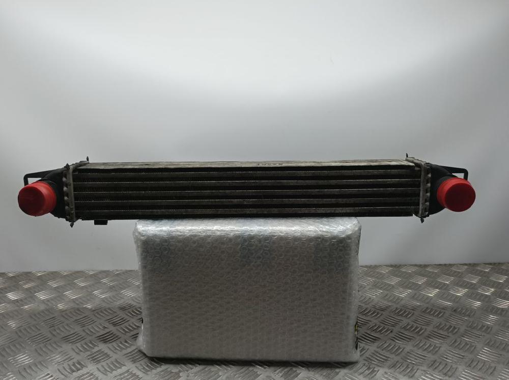 PEUGEOT Bipper 1 generation (2008-2020) Intercooler Kylare 51790623,L8119001 23620829