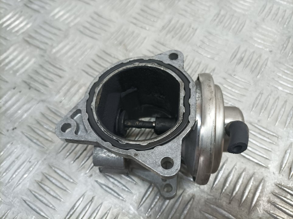 SKODA Roomster 5J  (2010-2015) EGR Valve 038131501AN, 073816114 24077732