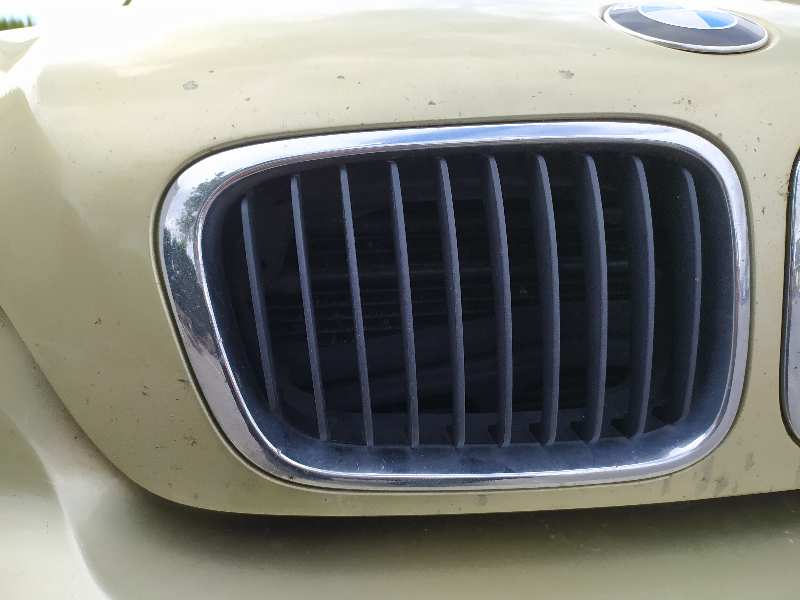 BMW 3 Series E46 (1997-2006) Решетка радиатора LADODERECHO 23654386