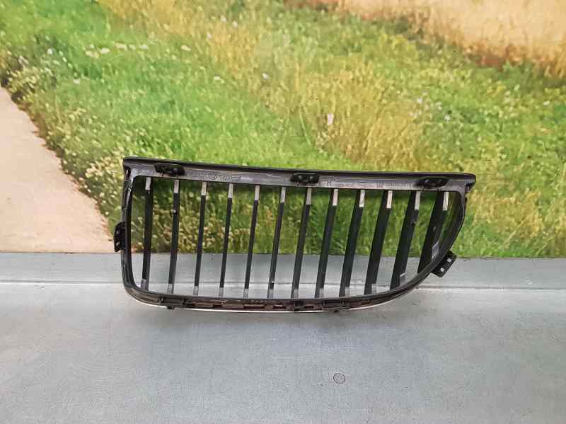 BMW 3 Series E90/E91/E92/E93 (2004-2013) Radiator Grille LADODERECHO 18639255