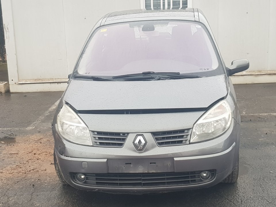 RENAULT Scenic 2 generation (2003-2010) Другие кузовные детали 8200159645 22978877