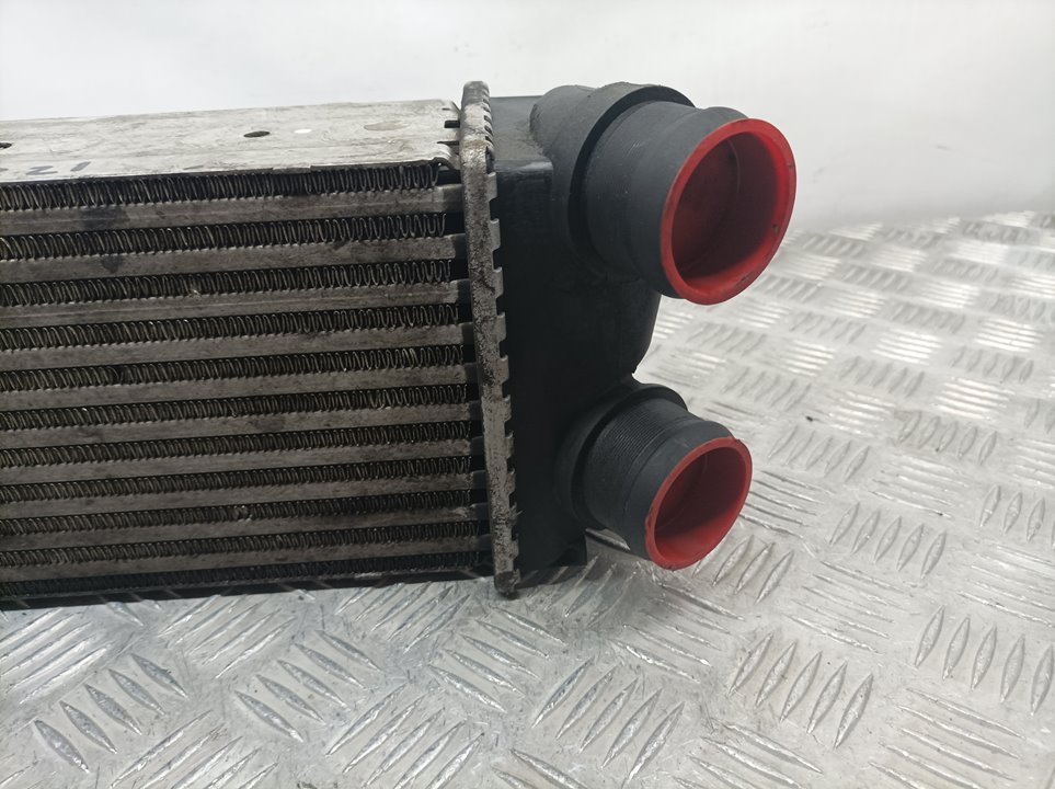 SKODA 307 1 generation (2001-2008) Intercooler Kylare 9648551880,876923JE 18639971