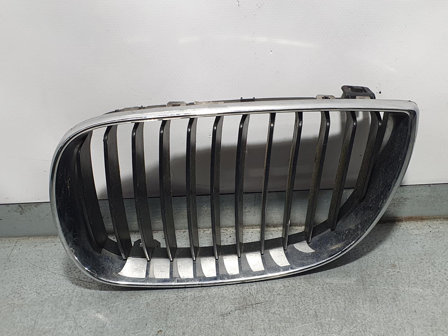 BMW 1 Series F20/F21 (2011-2020) Priekinės radiatoriaus grotelės LADOIZQ2PATASROTAS 23656034