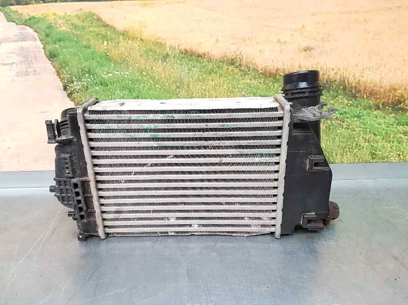 NISSAN X-Trail T32 (2013-2022) Radiateur de refroidisseur intermédiaire 144614BE0A 23712863