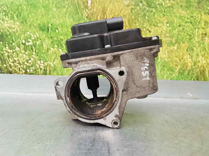 VOLKSWAGEN Passat B6 (2005-2010) EGR Valve 03G131501P 18608354