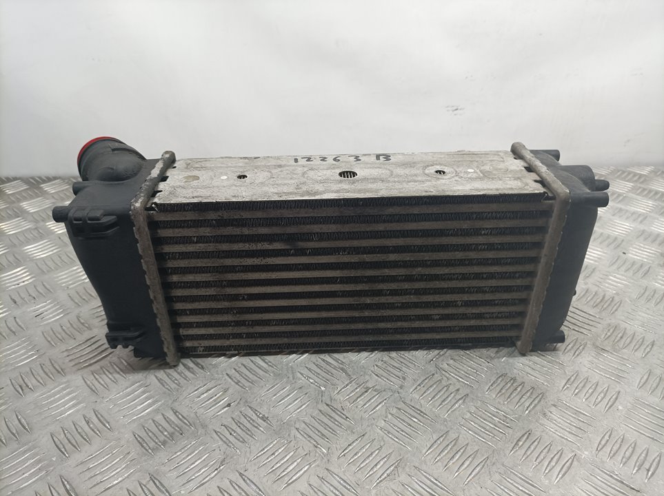 SKODA 307 1 generation (2001-2008) Intercooler Kylare 9648551880,876923JE 18639971