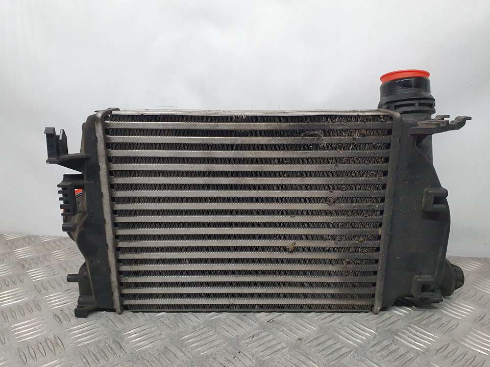 NISSAN Qashqai 2 generation (2013-2023) Radiator intercooler 144614ED0A, M163233 22047373