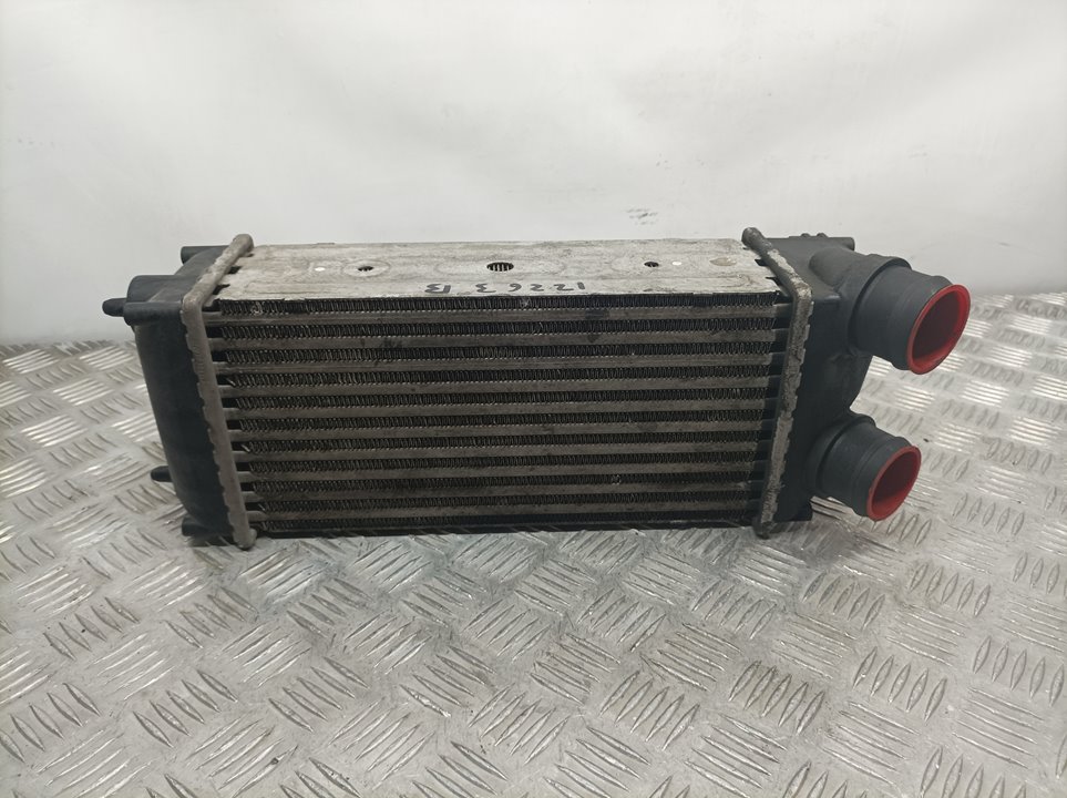 SKODA 307 1 generation (2001-2008) Intercooler Kylare 9648551880,876923JE 18639971