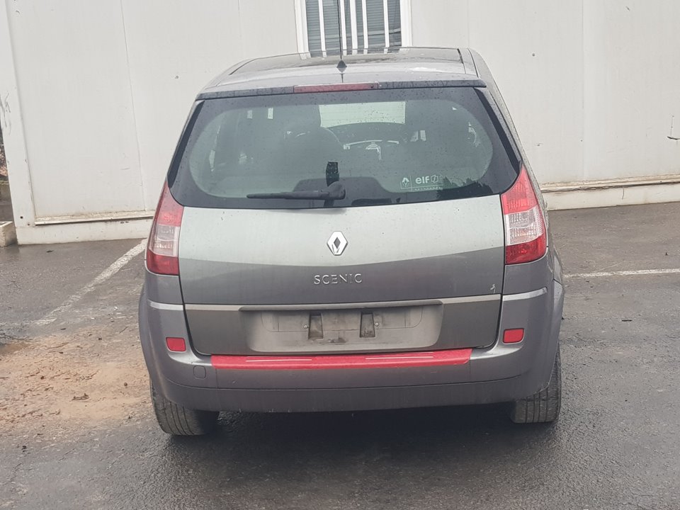 RENAULT Scenic 2 generation (2003-2010) Другие кузовные детали 8200159645 22978877