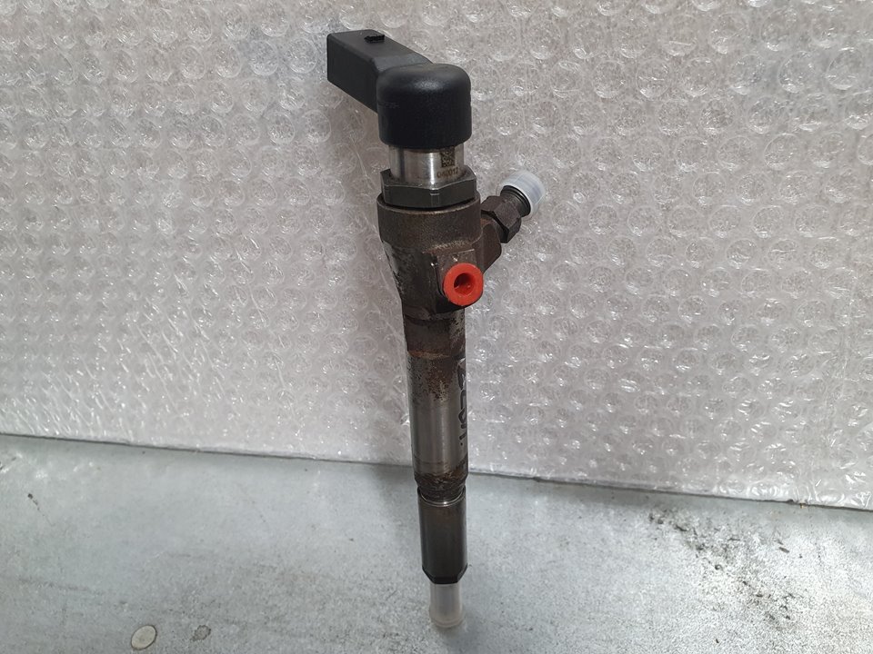 BMW Megane 3 generation (2008-2020) Fuel Injector 166009445R, H8200294788 18731134