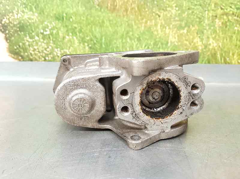 VOLKSWAGEN Passat B6 (2005-2010) EGR Valve 03G131501P 18608354