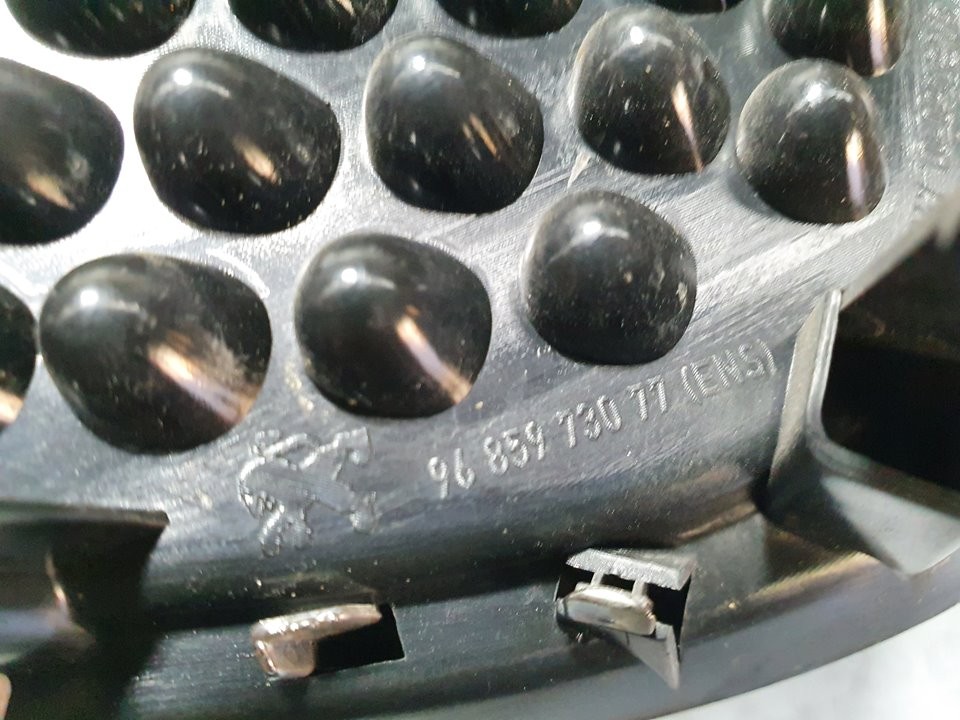 Griglia anteriore 9H05 9685973077 de Peugeot 3008 monospace (0u_) 2009-2016 114 CV - pieza usada