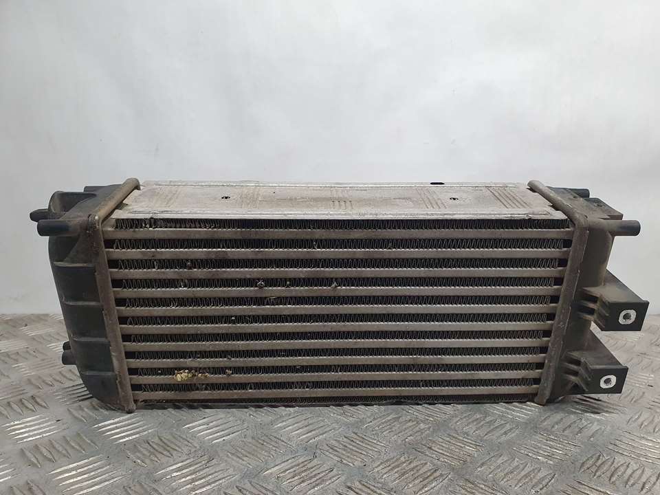 VOLKSWAGEN Polo 5 generation (2009-2017) Intercooler Radiator 9684212480, M144105 24487151