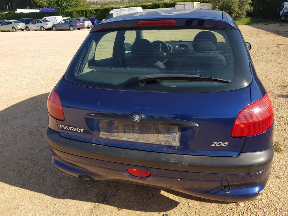 PEUGEOT 206 1 generation (1998-2009) Vairo kolonėlė ASISTIDA 23641020