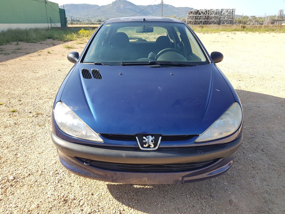 PEUGEOT 206 1 generation (1998-2009) Vairo kolonėlė ASISTIDA 23641020