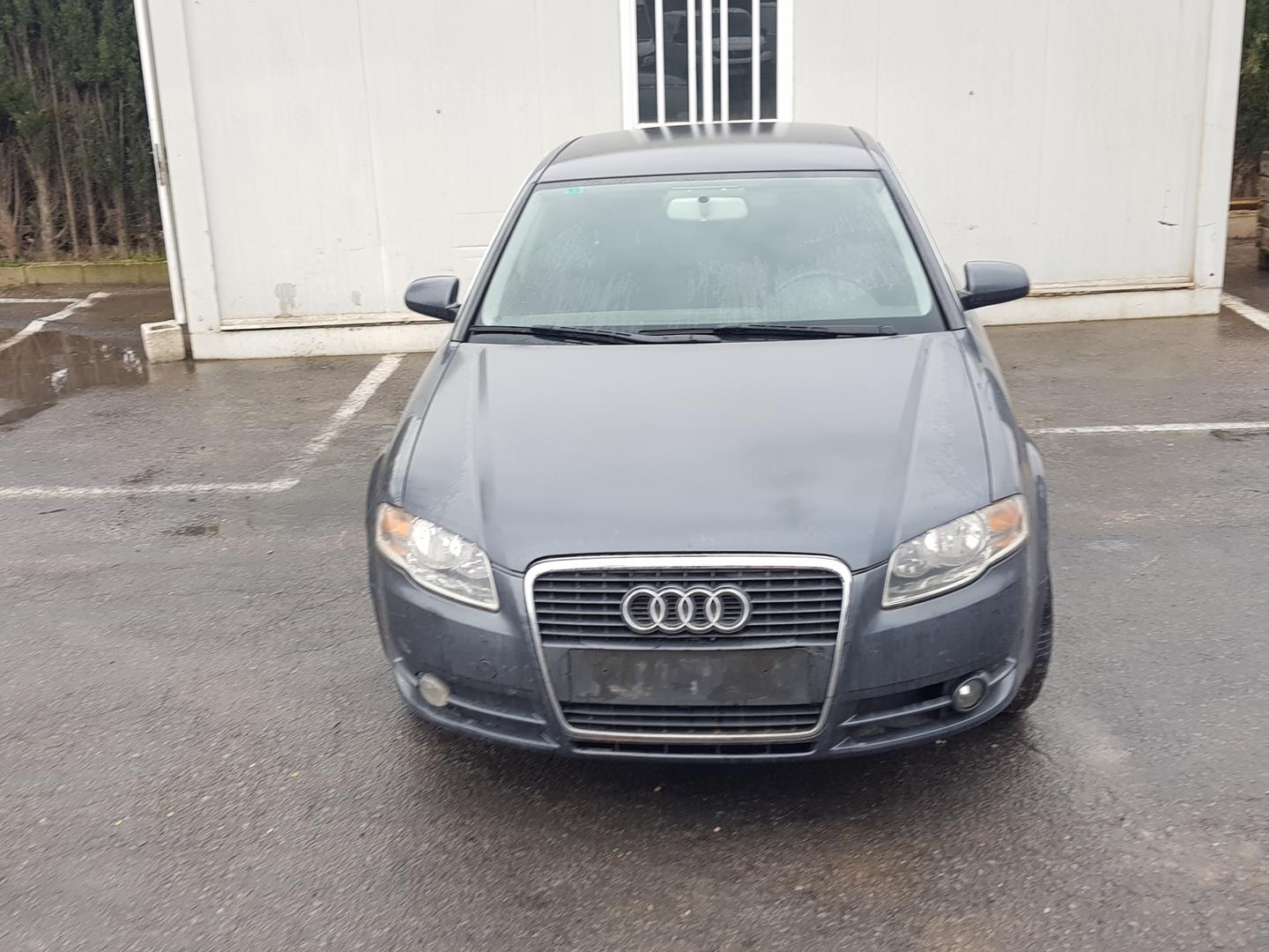 AUDI A4 B7/8E (2004-2008) Priekinių kairių durų veidrodis ELECTRICO 23619087