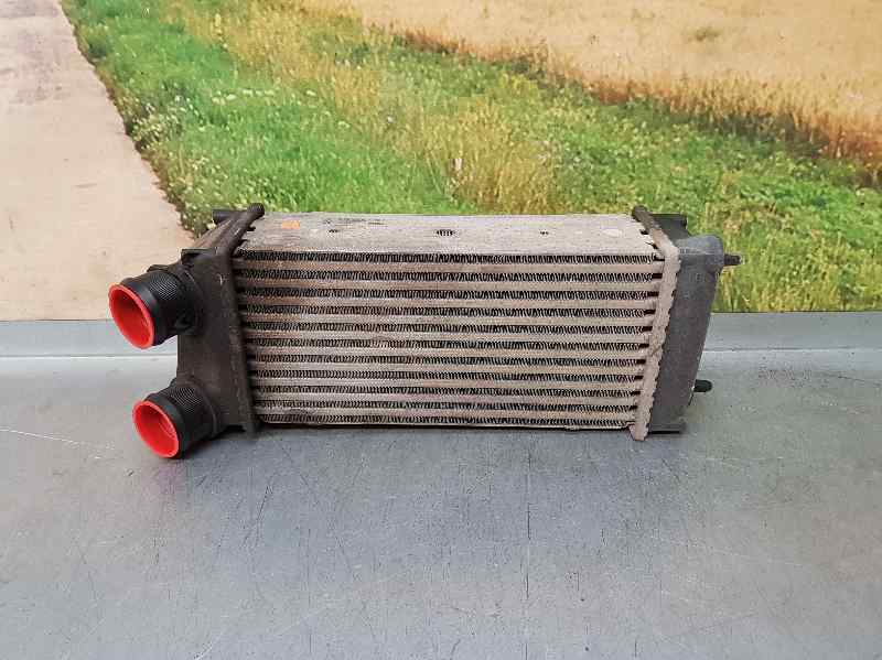 PEUGEOT 307 1 generation (2001-2008) Intercooler Kylare 9648551880,876923JE 18622613