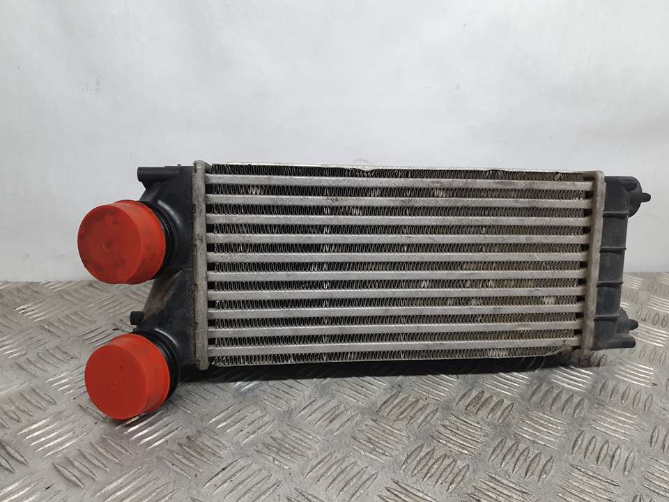 VOLKSWAGEN Polo 5 generation (2009-2017) Intercooler Radiator 9684212480, M144105 24487151