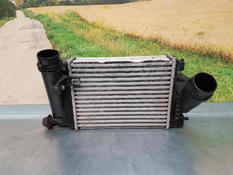 NISSAN X-Trail T32 (2013-2022) Radiateur de refroidisseur intermédiaire 144614BE0A 23712863