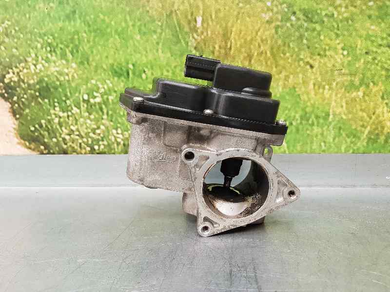 VOLKSWAGEN Passat B6 (2005-2010) EGR ventil 03G131501P 18608354