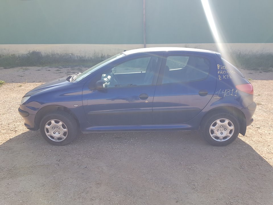 PEUGEOT 206 1 generation (1998-2009) Vairo kolonėlė ASISTIDA 23641020