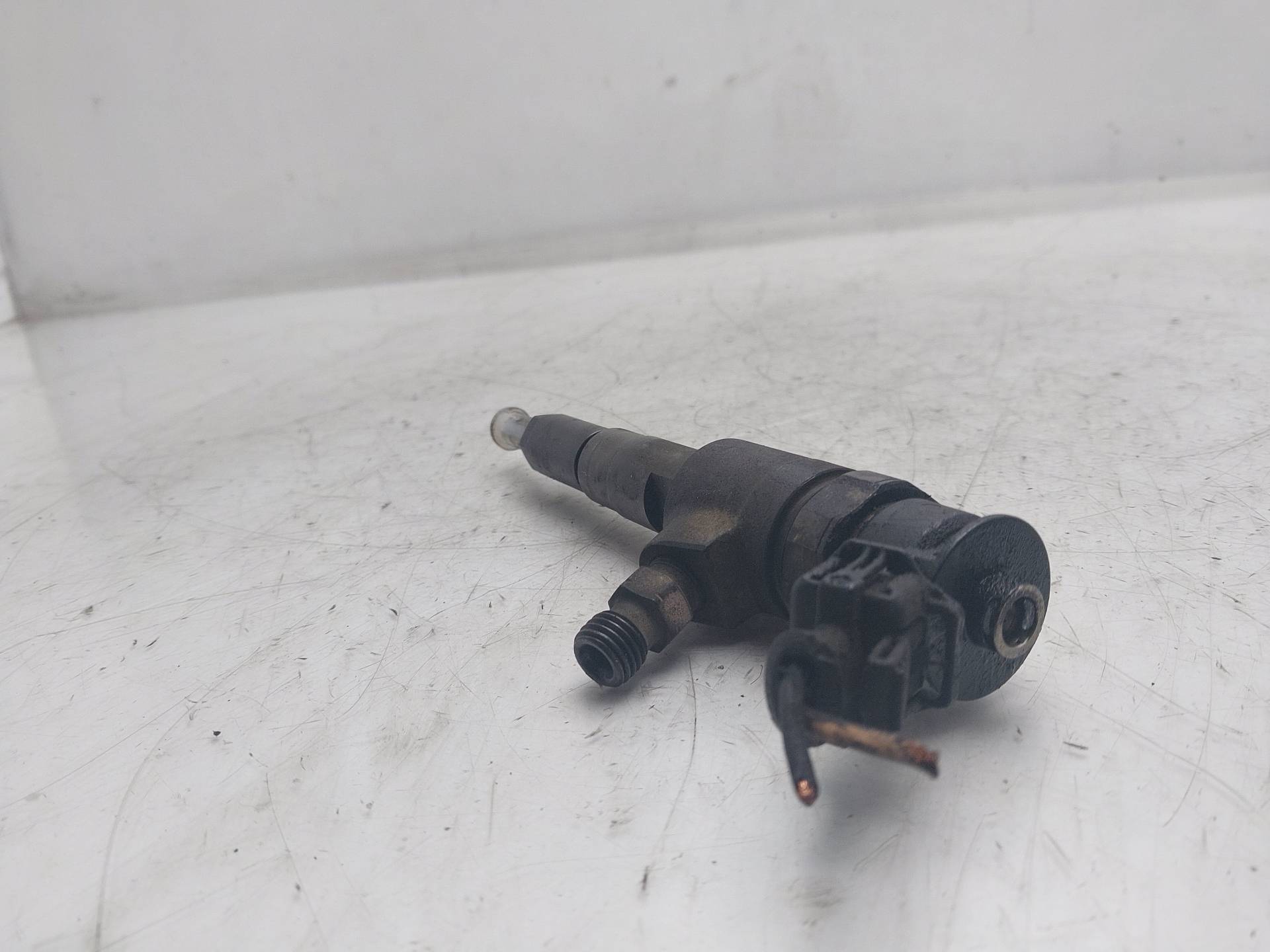 RENAULT 206 1 generation (1998-2009) Fuel Injector 0445110252 25008754