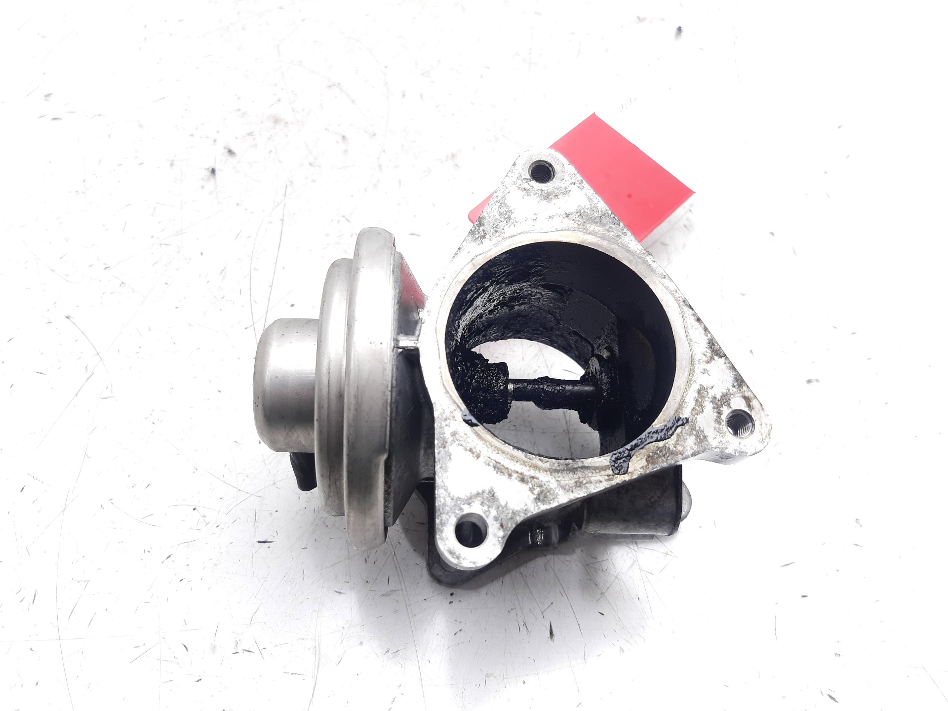 CHEVROLET Leon 2 generation (2005-2012) EGR vārsts 038131501AN 22409007