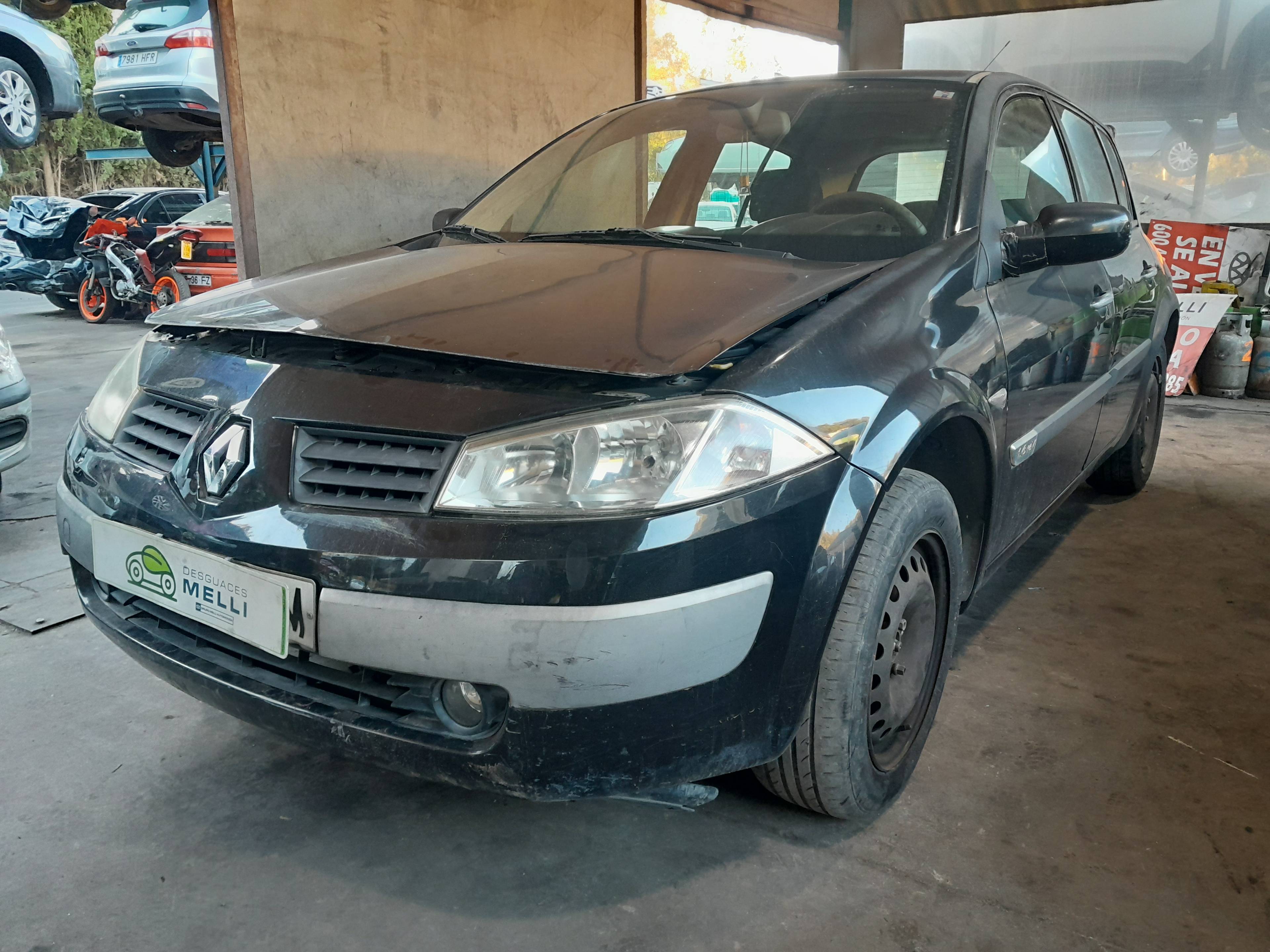 RENAULT Megane 2 generation (2002-2012) Galinių kairių durų stiklo pakelėjas 8201010924 22560117