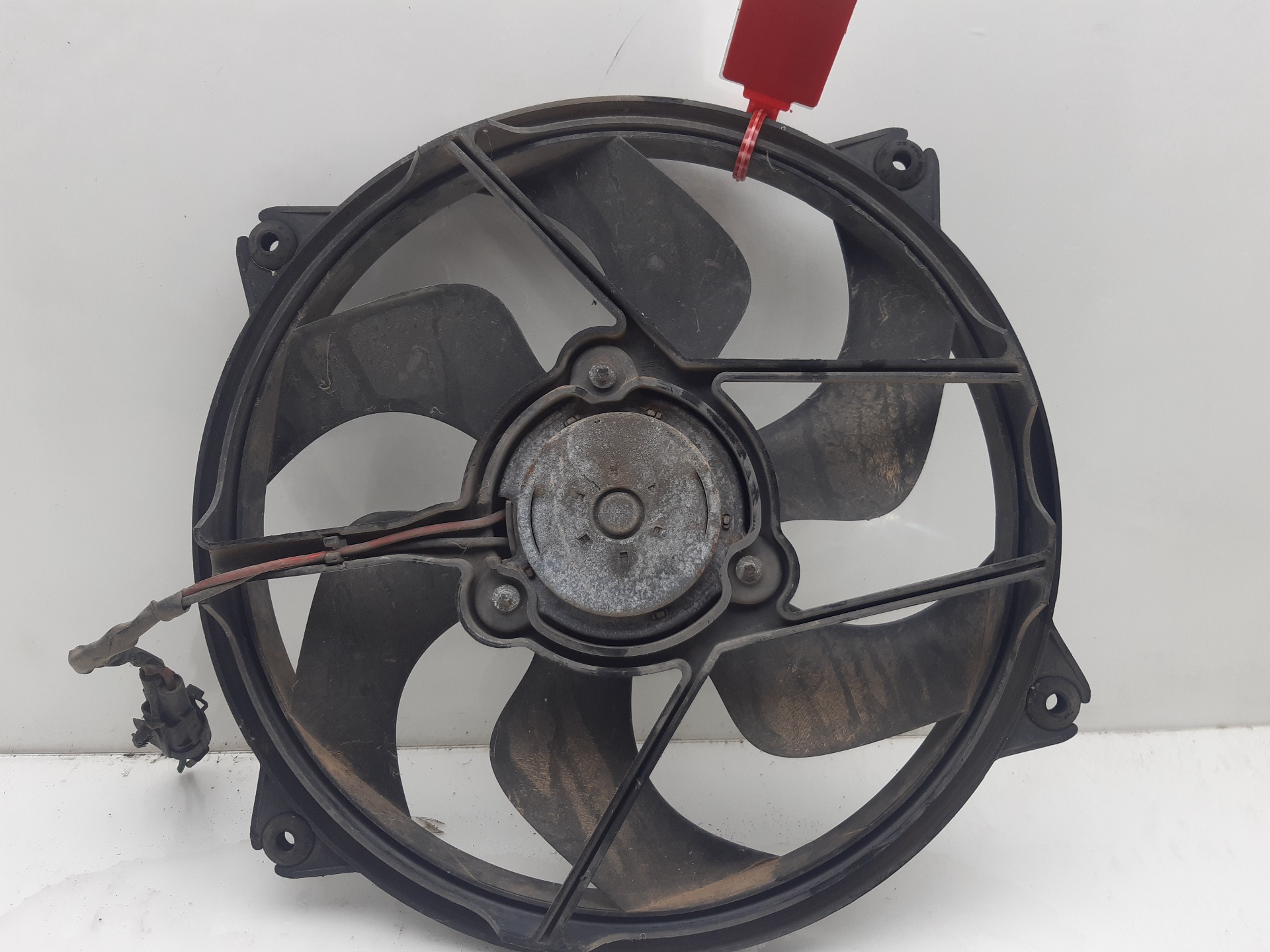 PEUGEOT 307 1 generation (2001-2008) Difūzoriaus ventiliatorius 9650116580 22560358