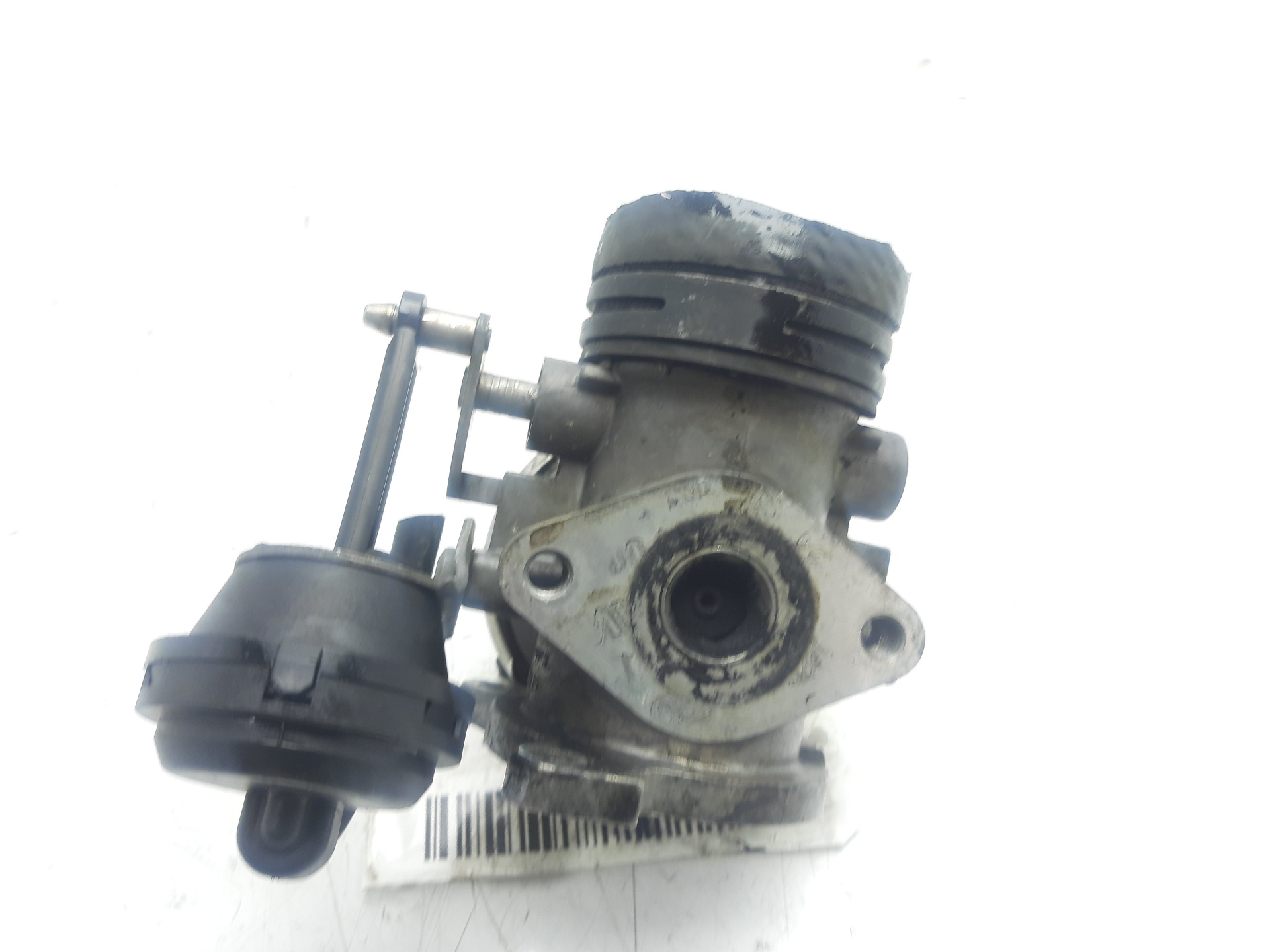 SEAT Cordoba 2 generation (1999-2009) EGR Valve 038131501M 23013955