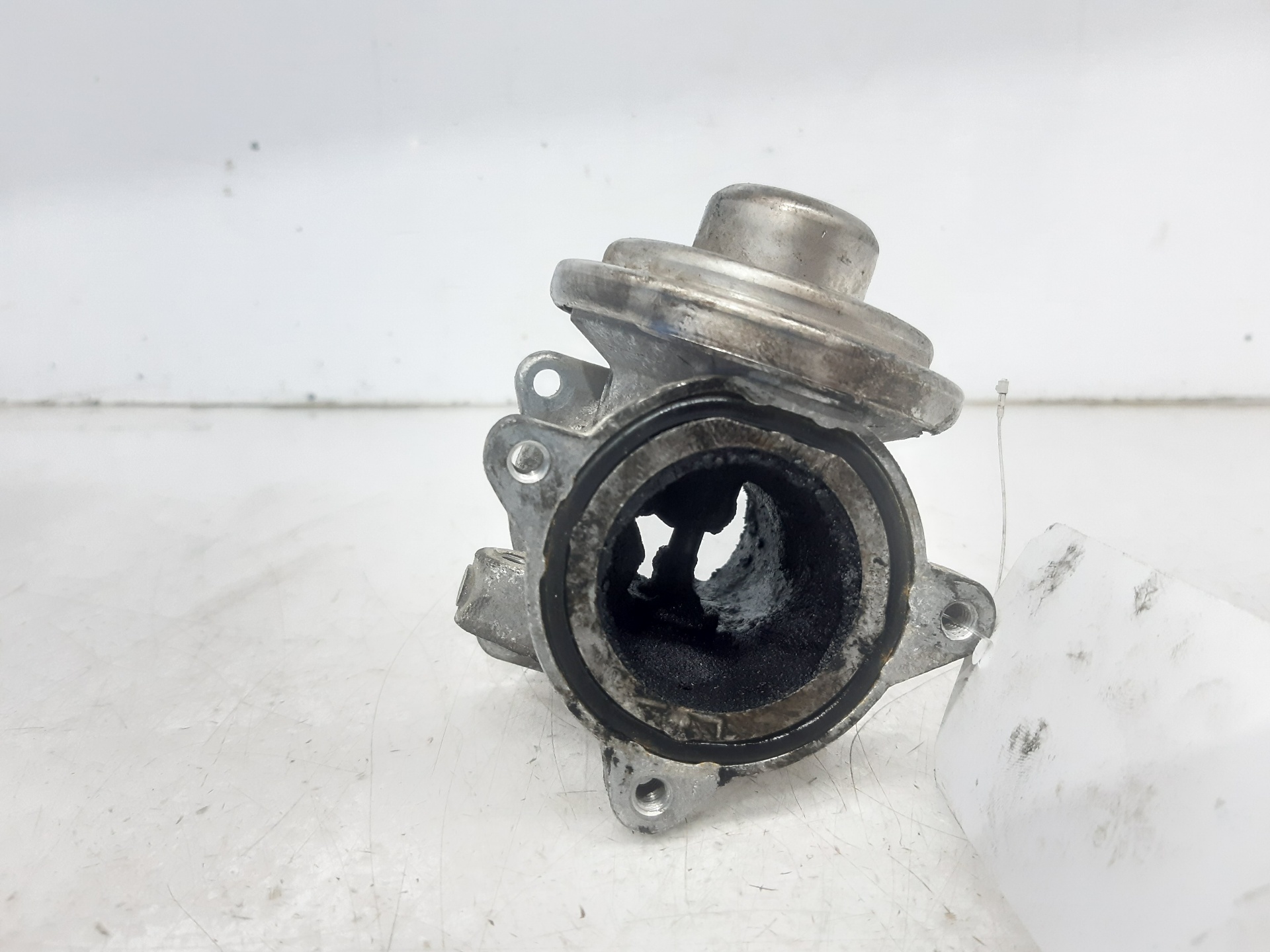 SEAT Cordoba 2 generation (1999-2009) EGR Valve 045129637A 18612324