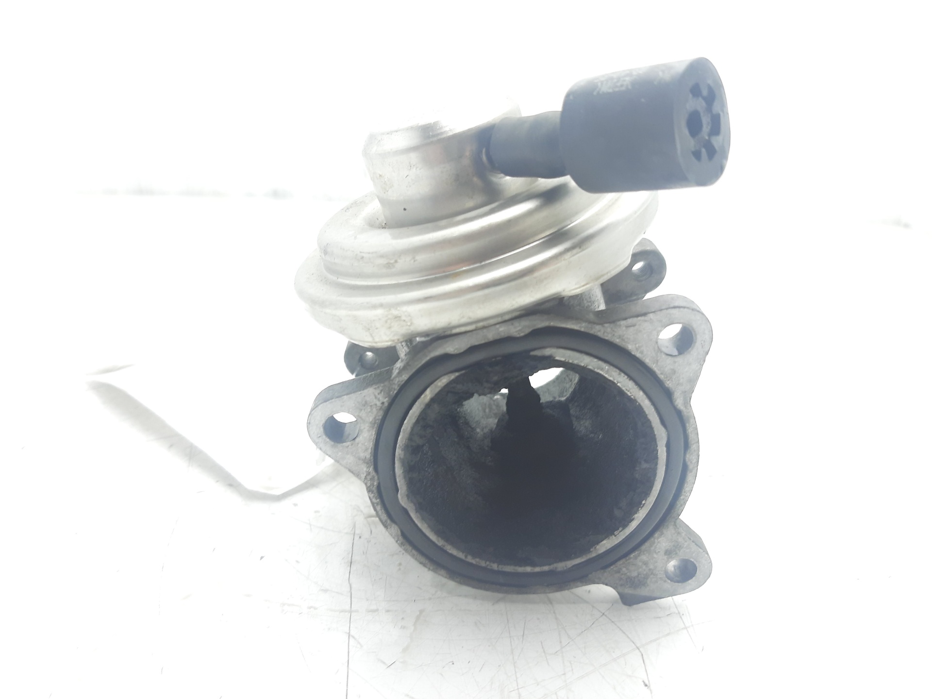 SKODA Fabia 6Y (1999-2007) EGR Valve 045129637A 22334563