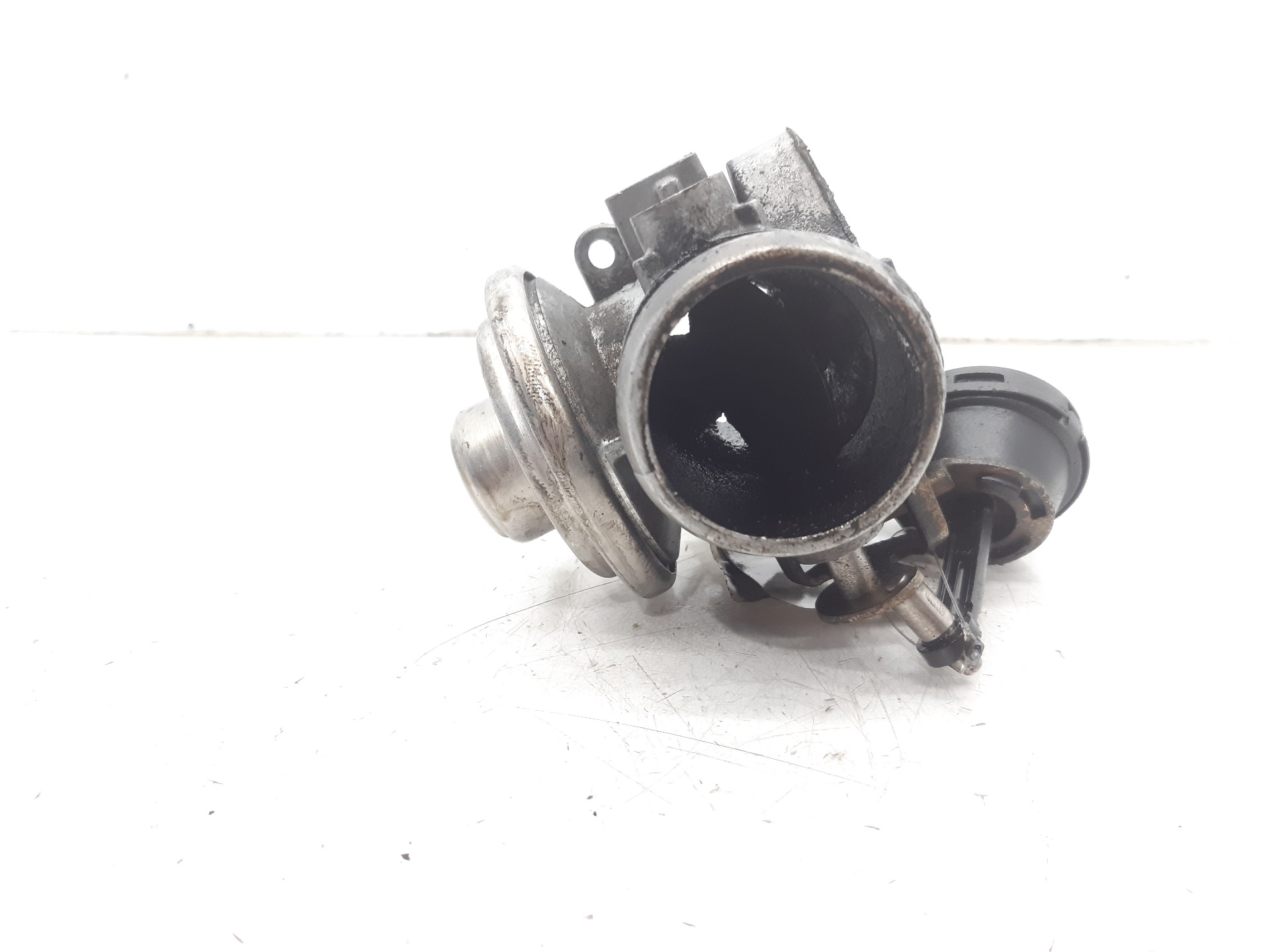 VOLKSWAGEN Golf 4 generation (1997-2006) EGR vārsts 038131501A 24014502