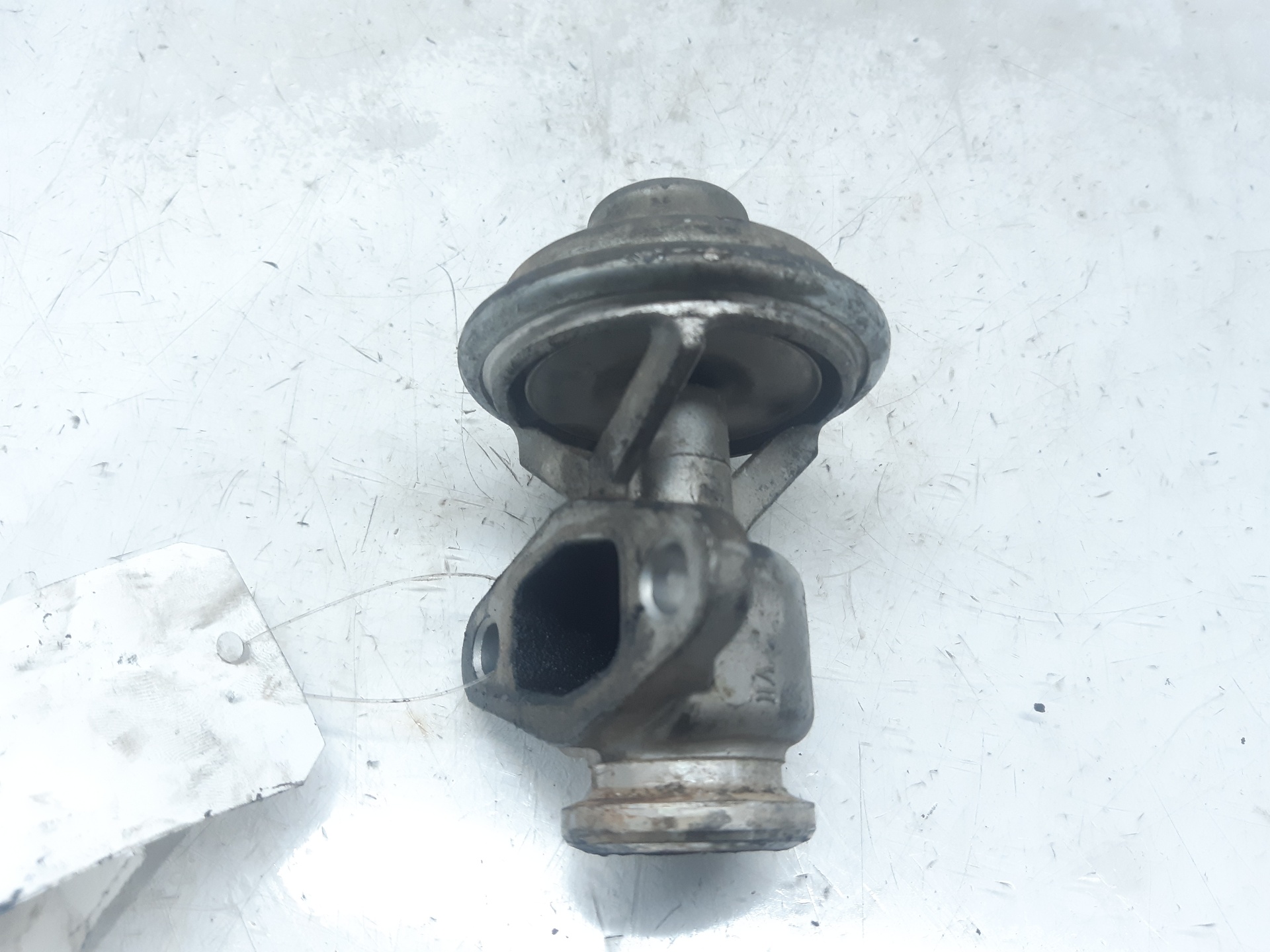 SEAT Ibiza 2 generation (1993-2002) EGR vožtuvas 038131501 18664634