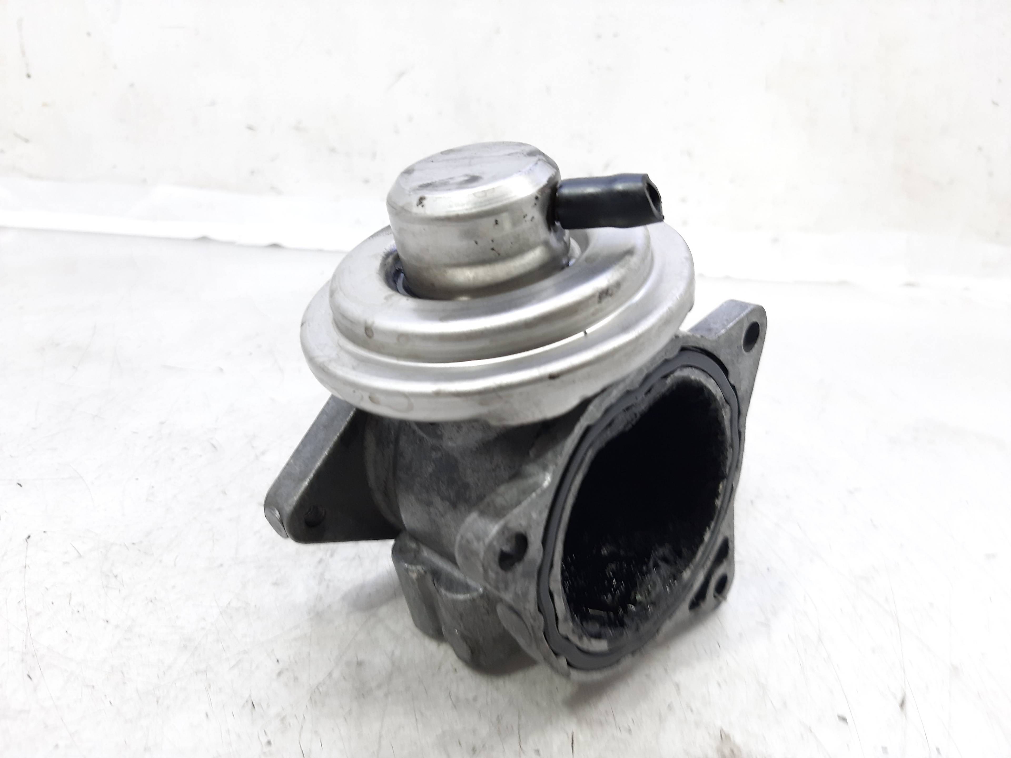 VOLKSWAGEN Jetta 5 generation (2005-2011) EGR szelep 038131501AN 20651454