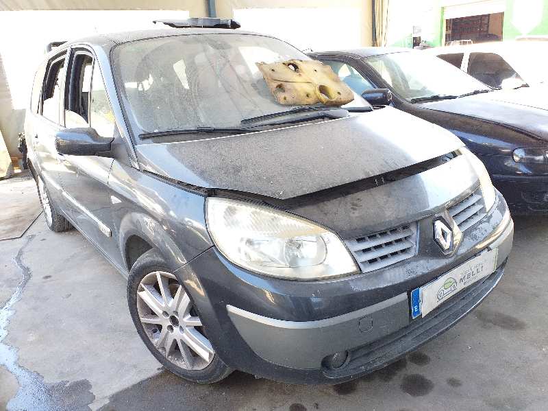 RENAULT Scenic 2 generation (2003-2010) Priekšējais bamperis 620225303R 18395390