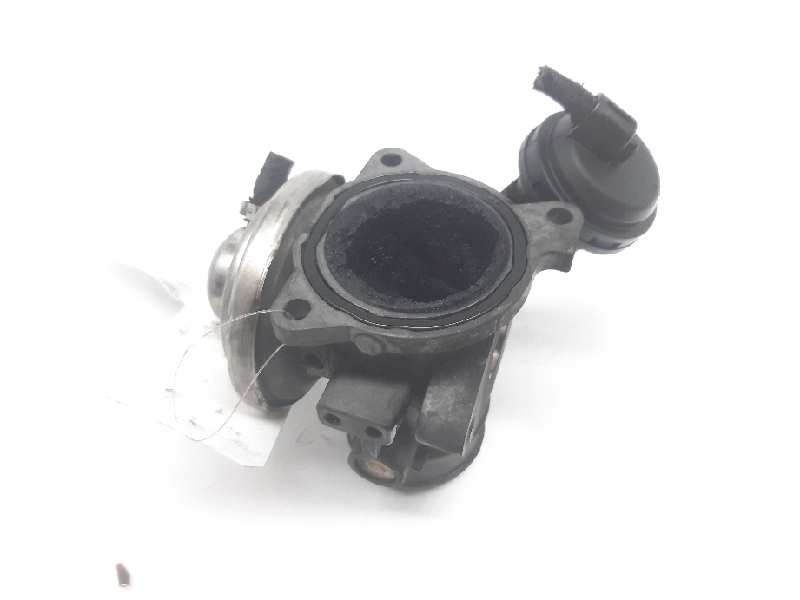 SEAT Toledo 2 generation (1999-2006) EGR Valve 038131501E 18476309